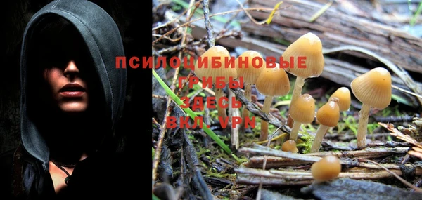 метадон Верея