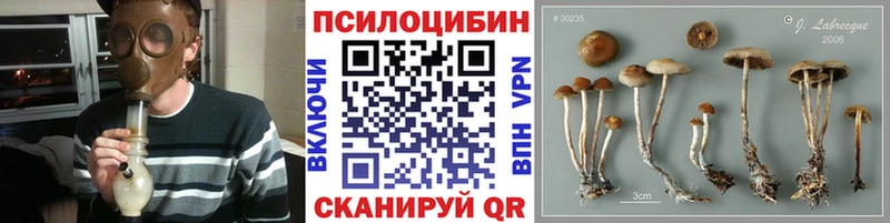 Галлюциногенные грибы Cubensis  хочу наркоту  Чистополь 